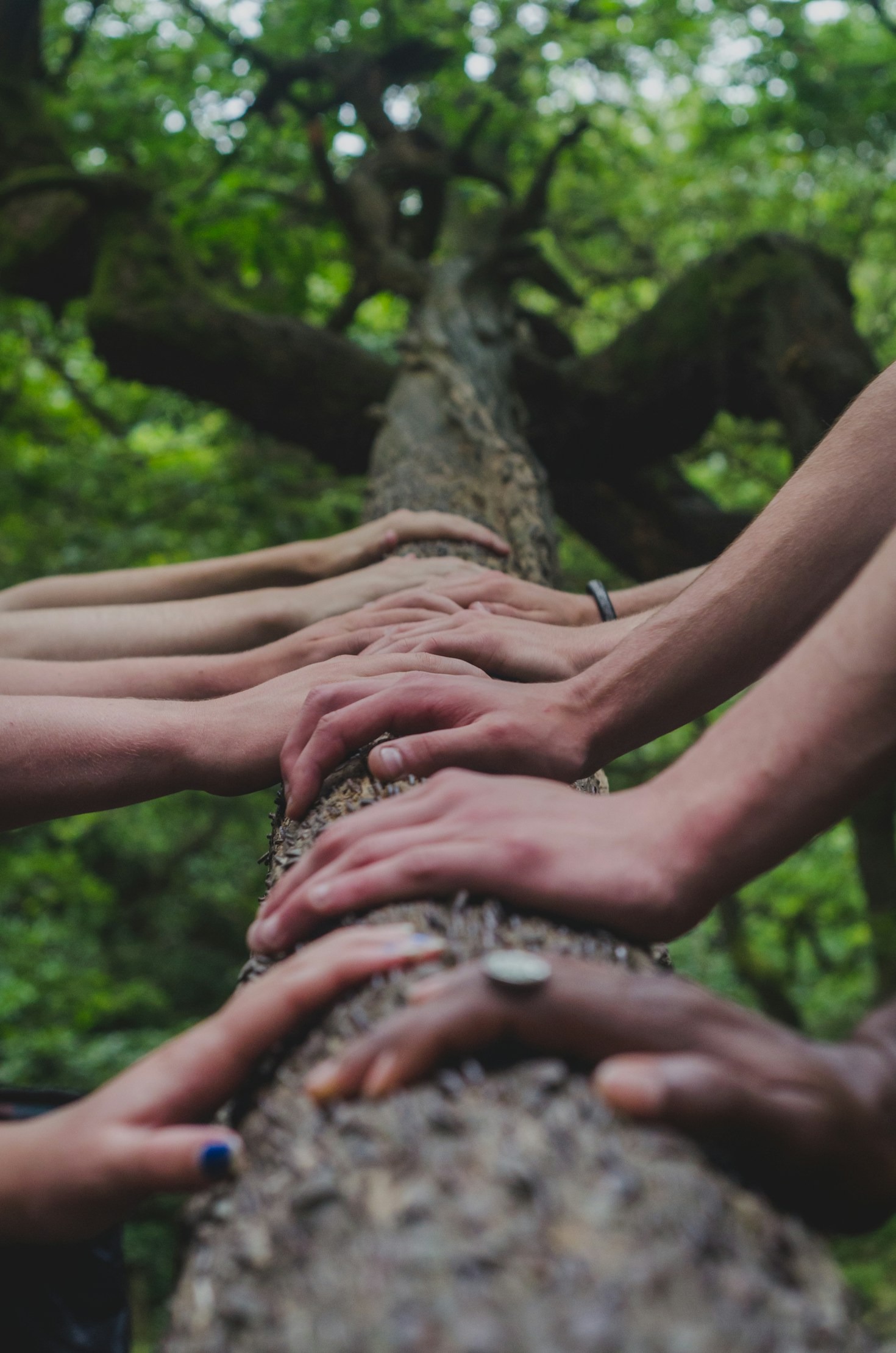 Building Connections Across Generations